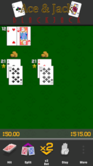 screen shot 2